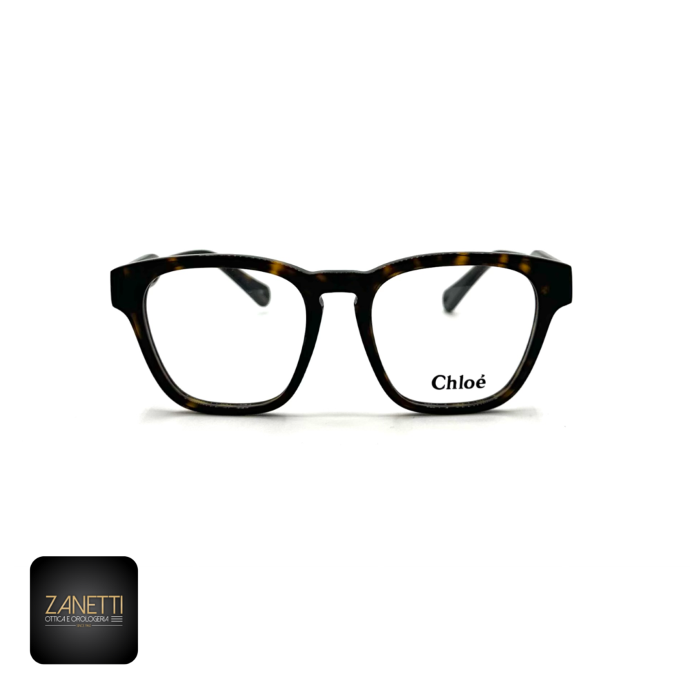 12675286-AAB9-4473-9DA6-4A36CAB67B60-1320x1320 Chloè CH 0161O