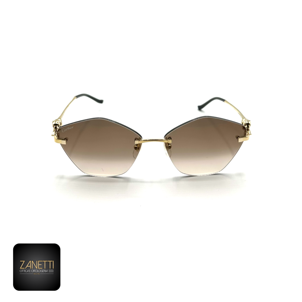 448BFD85-A7FD-41A7-AE96-856AA55B0E7A Cartier CT0429S