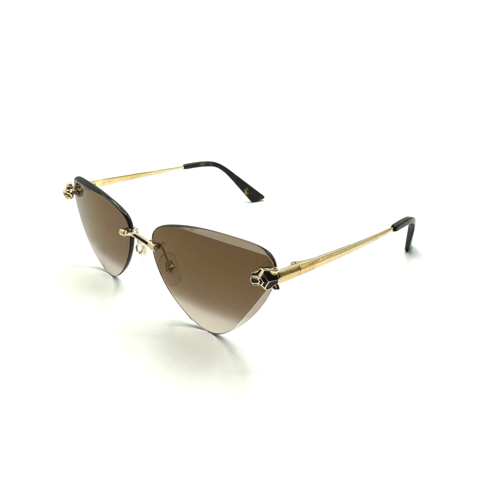 54F744A2-FBC8-4455-8A8E-4CD7D45FE97E Cartier CT0399S