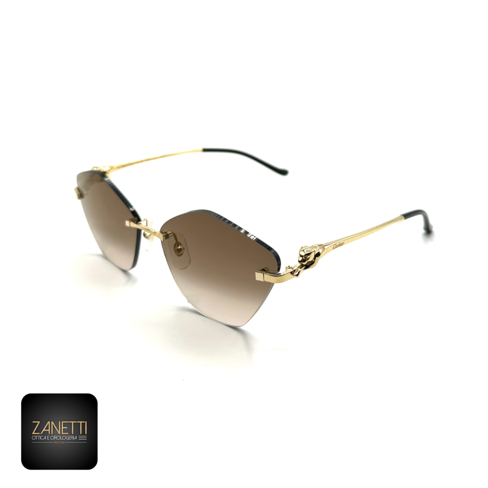 60146BAD-75F5-42E0-B497-CF92B85A7134 Cartier CT0429S