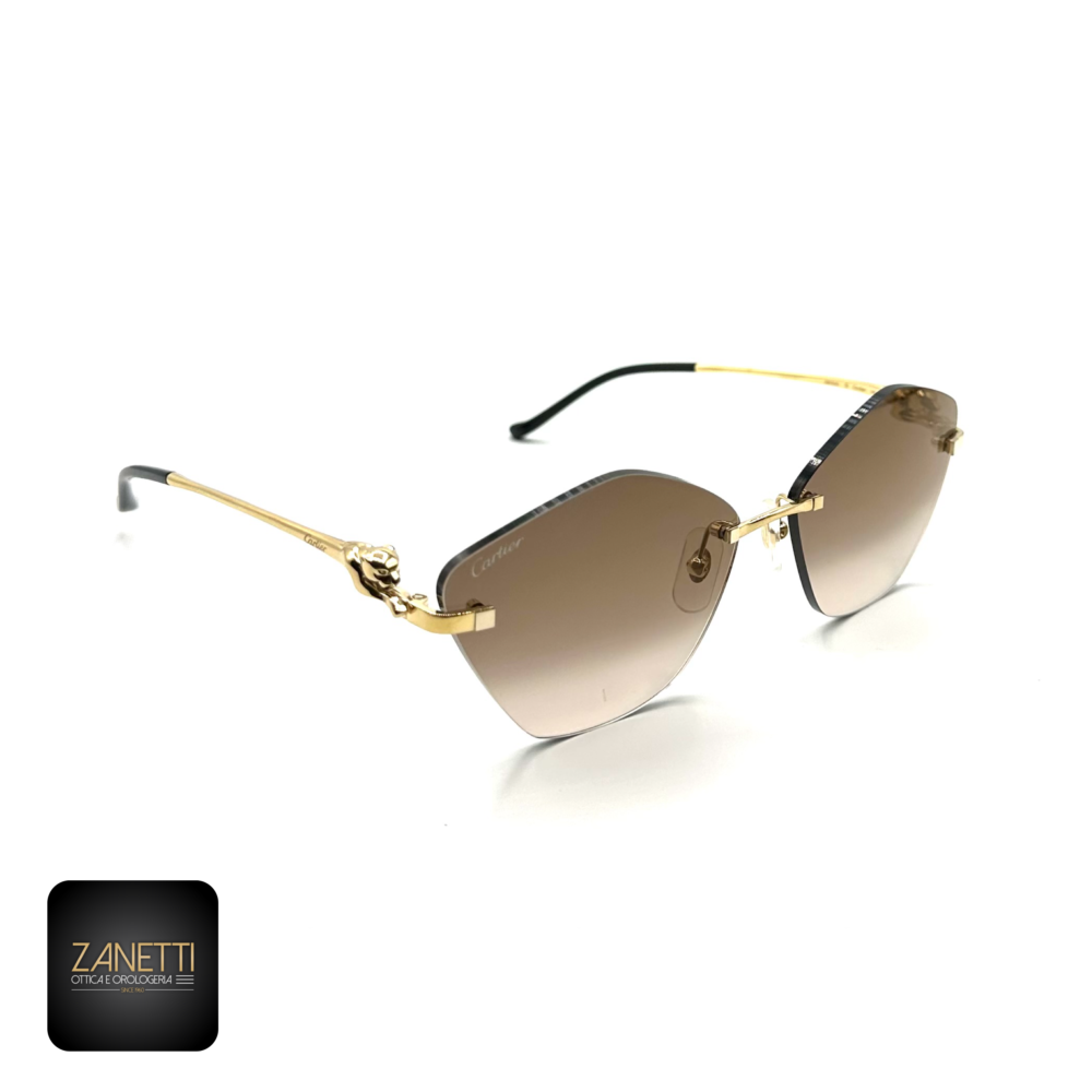 7C8BD658-04DB-4218-B11D-30C2B65566A7 Cartier CT0429S