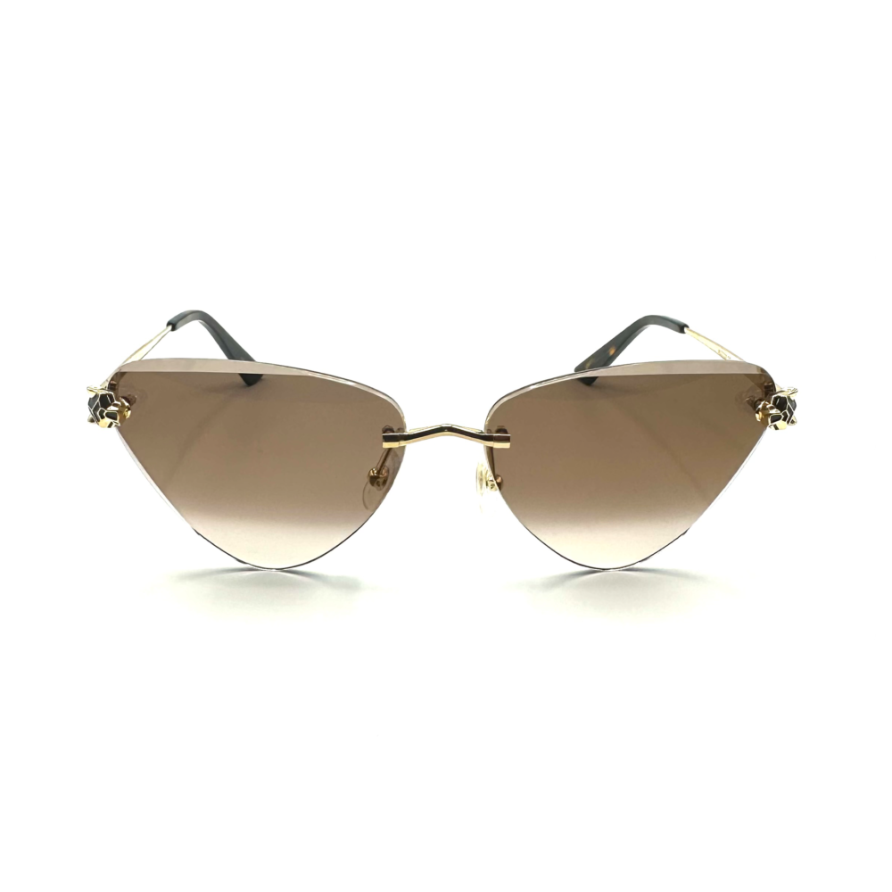D4C19039-1AF1-4758-B0B4-521309C00BEE Cartier CT0399S