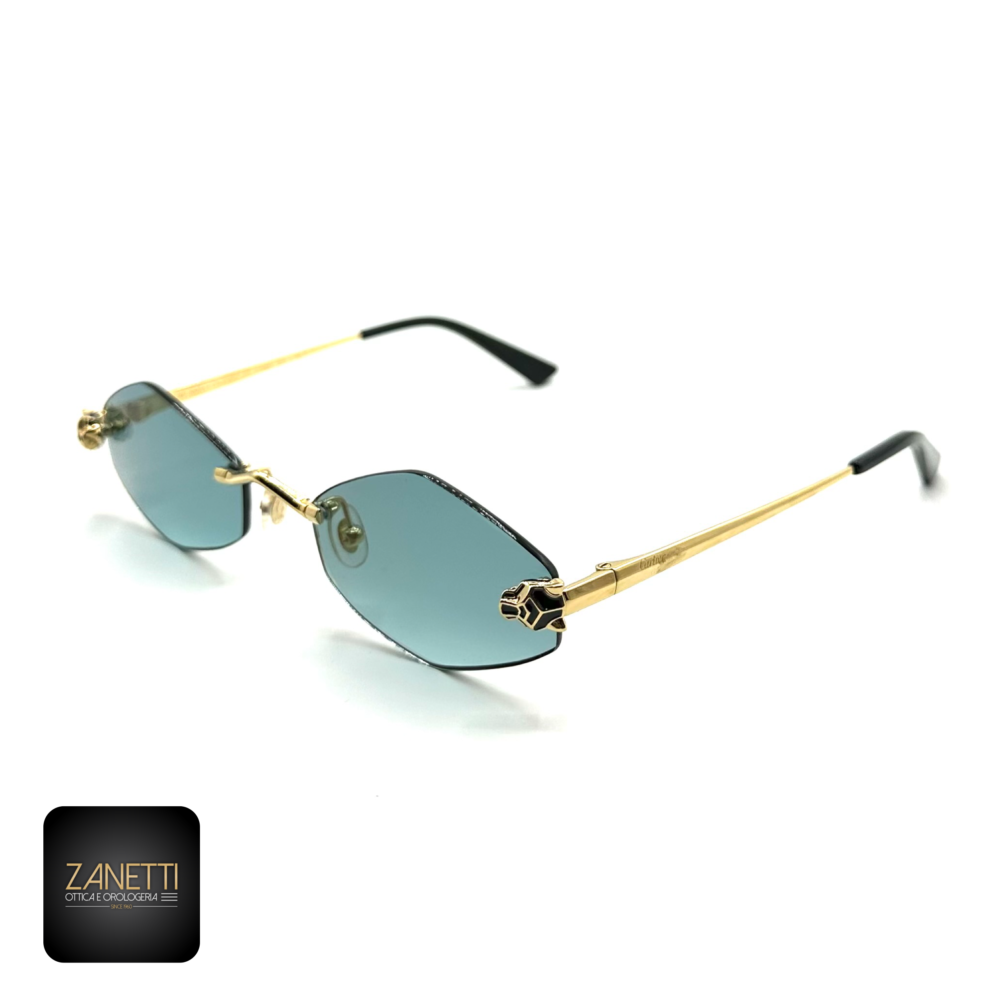 FFD6B2BD-3FBF-4263-BF7F-2F2E80747C88 Cartier CT0433S