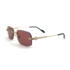 Cartier CT0271S