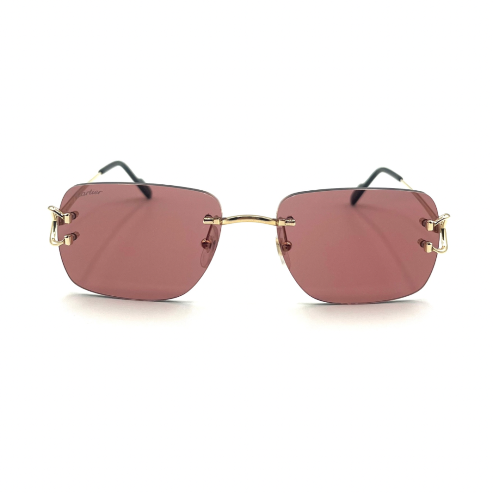 Cartier CT0330S